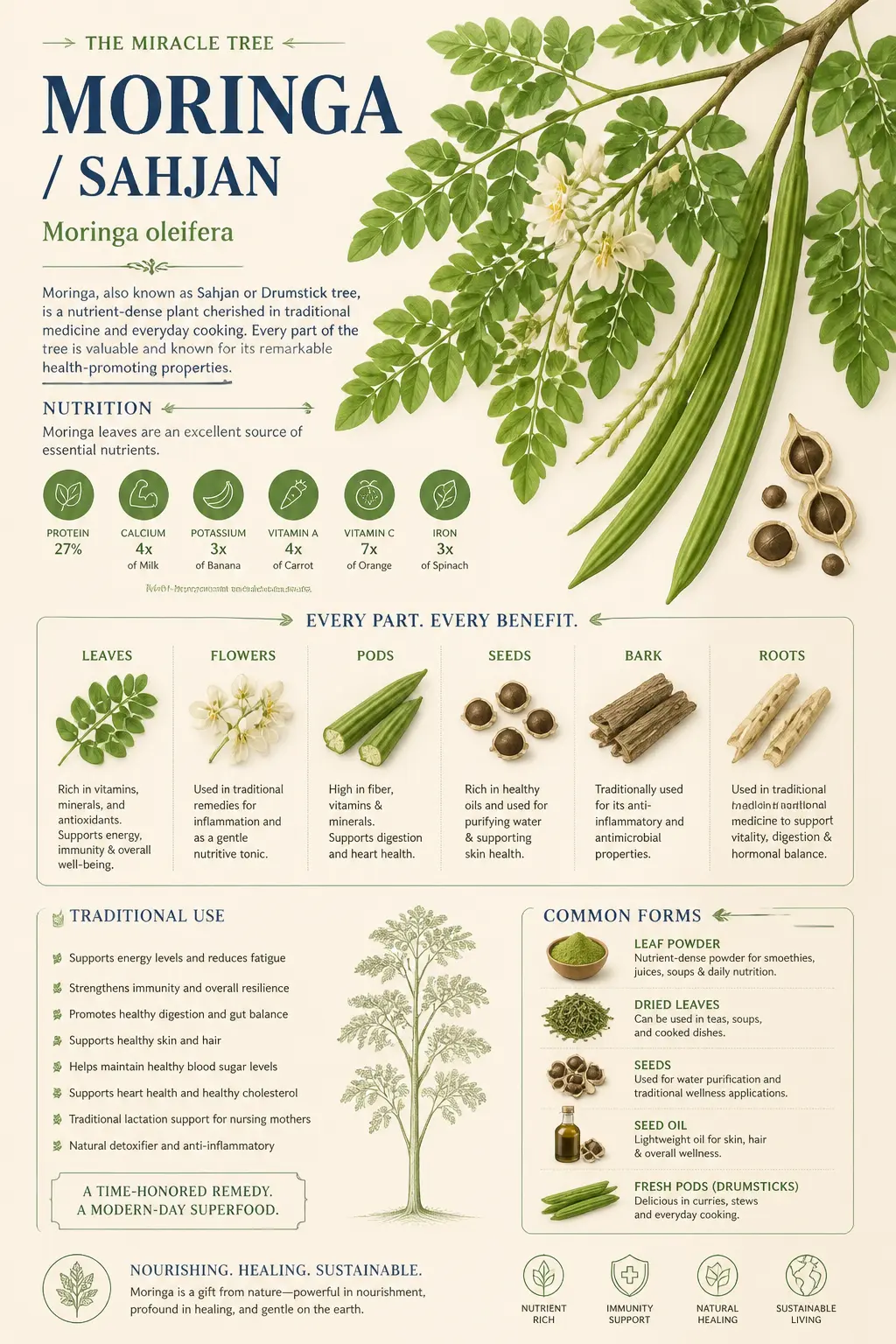 Moringa illustrated handbook page