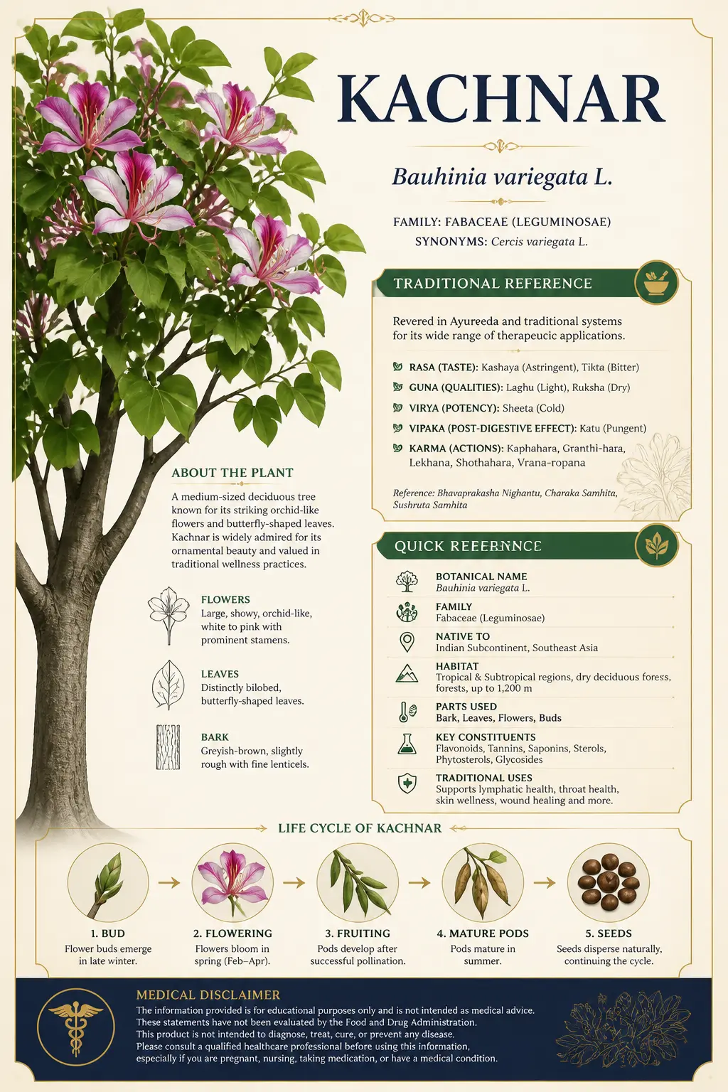 Kachnar illustrated handbook page
